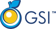 GSI Main Logo - large-2